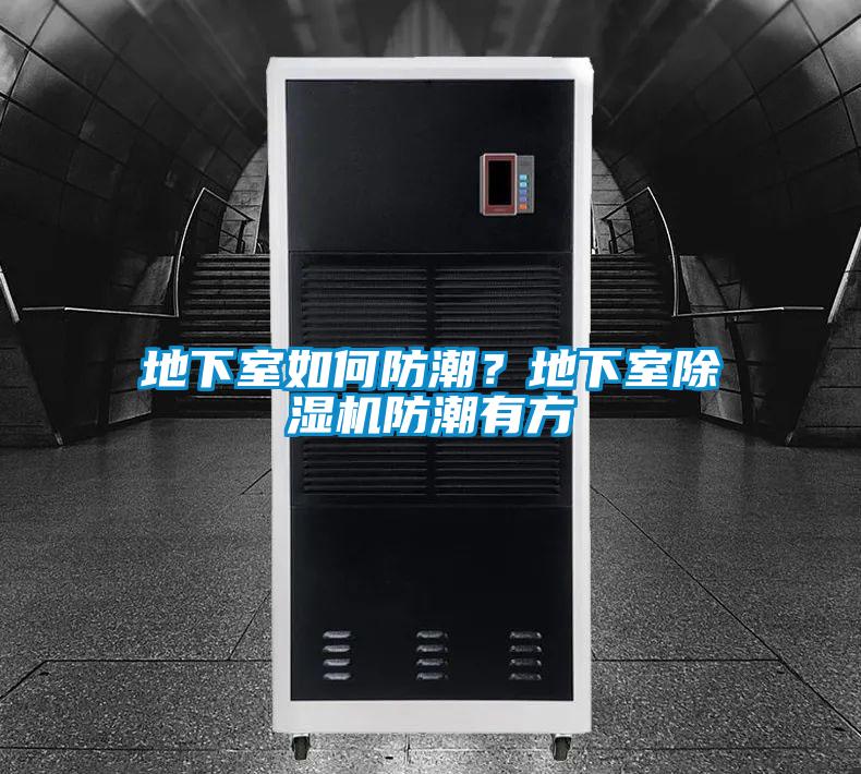 地下室如何防潮？地下室除濕機(jī)防潮有方
