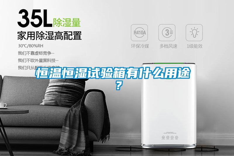 恒溫恒濕試驗(yàn)箱有什么用途 ？