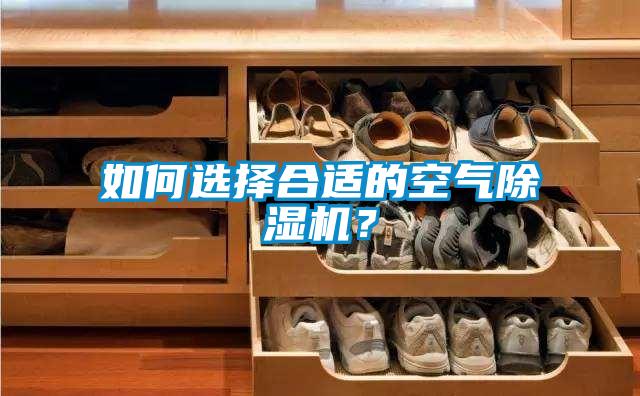 如何選擇合適的空氣除濕機(jī)？