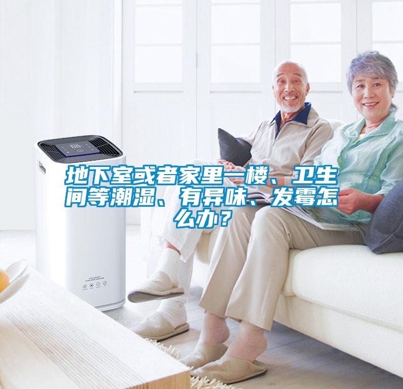 地下室或者家里一樓、衛(wèi)生間等潮濕、有異味、發(fā)霉怎么辦？