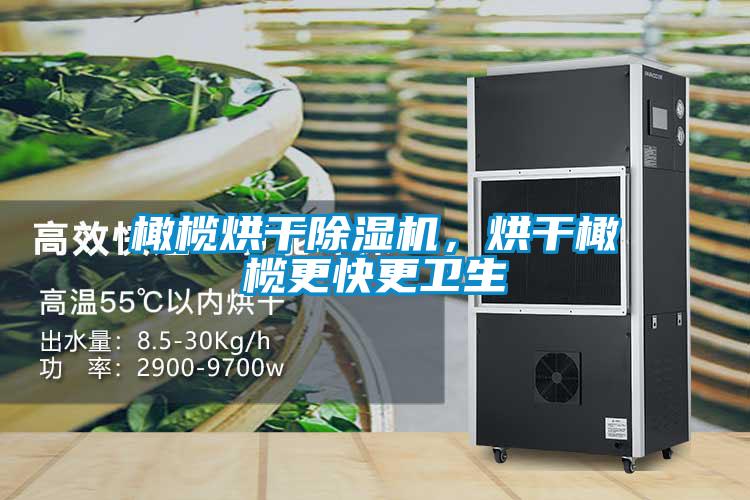 橄欖烘干除濕機，烘干橄欖更快更衛(wèi)生