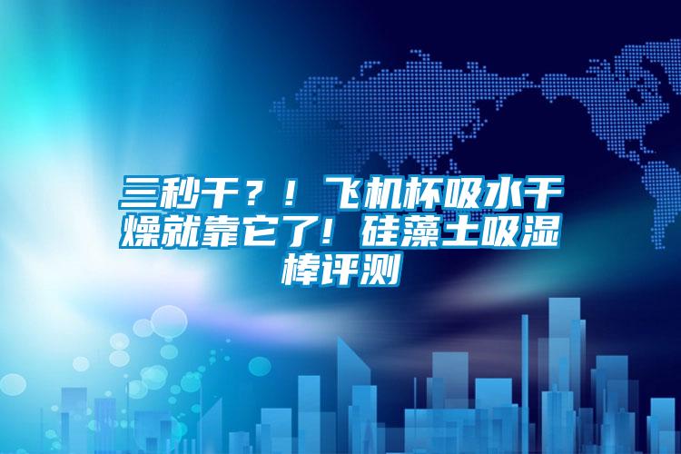 三秒干？! 飛機(jī)杯吸水干燥就靠它了! 硅藻土吸濕棒評(píng)測(cè)