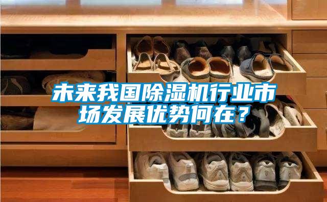 未來我國除濕機行業(yè)市場發(fā)展優(yōu)勢何在？