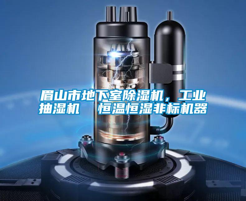 眉山市地下室除濕機，工業(yè)抽濕機  恒溫恒濕非標(biāo)機器