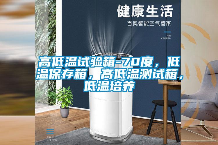 高低溫試驗(yàn)箱-70度，低溫保存箱，高低溫測試箱，低溫培養(yǎng)