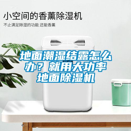 地面潮濕結(jié)露怎么辦？就用大功率地面除濕機(jī)