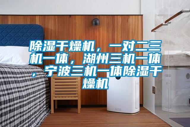 除濕干燥機(jī)，一對二三機(jī)一體，湖州三機(jī)一體，寧波三機(jī)一體除濕干燥機(jī)