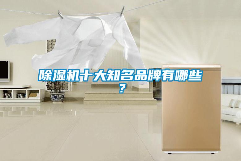 除濕機十大知名品牌有哪些？