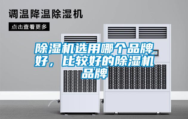 除濕機選用哪個品牌好，比較好的除濕機品牌
