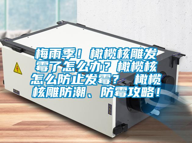 梅雨季！橄欖核雕發(fā)霉了怎么辦？橄欖核怎么防止發(fā)霉？ 橄欖核雕防潮、防霉攻略！