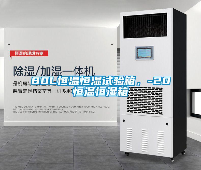 80L恒溫恒濕試驗(yàn)箱，-20℃恒溫恒濕箱