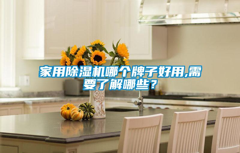 家用除濕機(jī)哪個(gè)牌子好用,需要了解哪些？