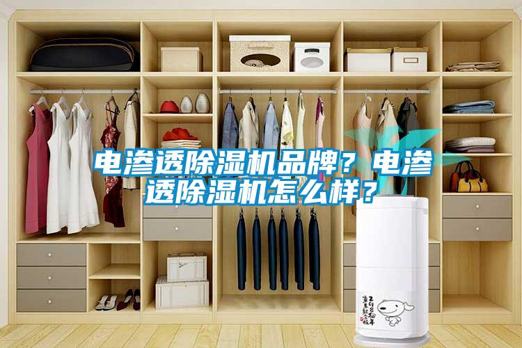 電滲透除濕機(jī)品牌？電滲透除濕機(jī)怎么樣？