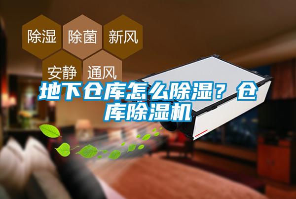 地下倉庫怎么除濕？倉庫除濕機