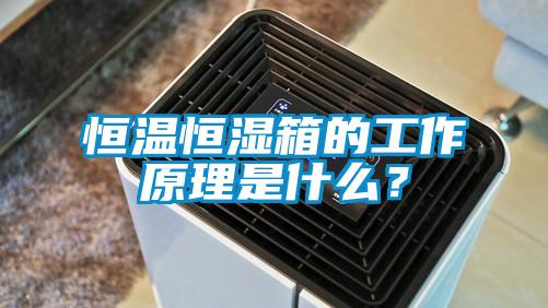 恒溫恒濕箱的工作原理是什么？