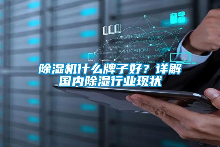 除濕機什么牌子好？詳解國內除濕行業(yè)現狀