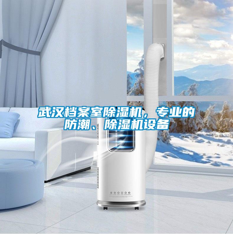 武漢檔案室除濕機，專業(yè)的防潮、除濕機設(shè)備