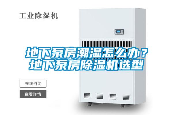 地下泵房潮濕怎么辦？地下泵房除濕機(jī)選型