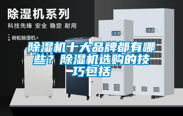 除濕機(jī)十大品牌都有哪些？除濕機(jī)選購的技巧包括
