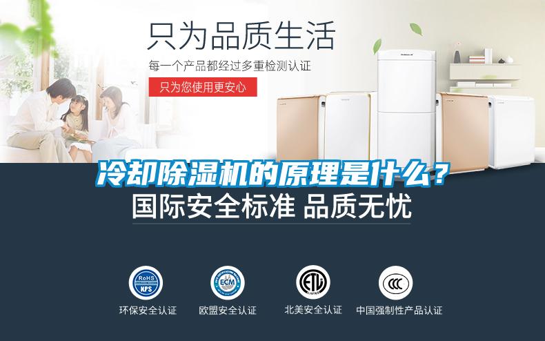 冷卻除濕機(jī)的原理是什么？