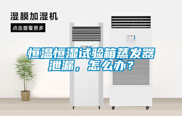 恒溫恒濕試驗箱蒸發(fā)器泄漏，怎么辦？