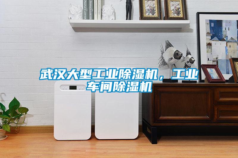 武漢大型工業(yè)除濕機(jī)，工業(yè)車間除濕機(jī)