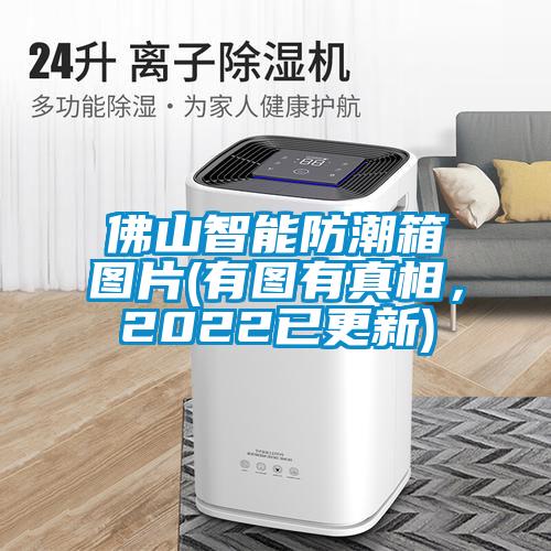 佛山智能防潮箱圖片(有圖有真相，2022已更新)