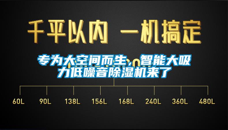 專為大空間而生，智能大吸力低噪音除濕機來了