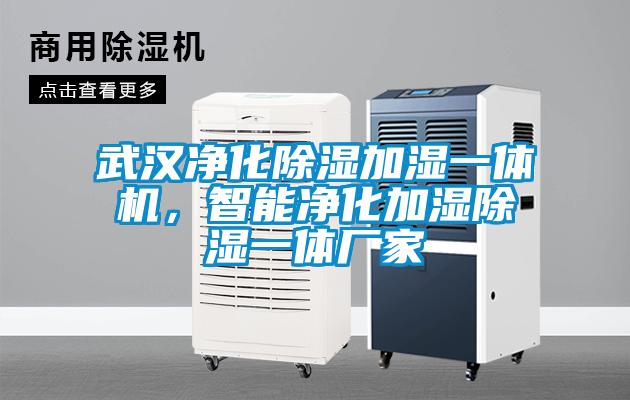 武漢凈化除濕加濕一體機(jī)，智能凈化加濕除濕一體廠家