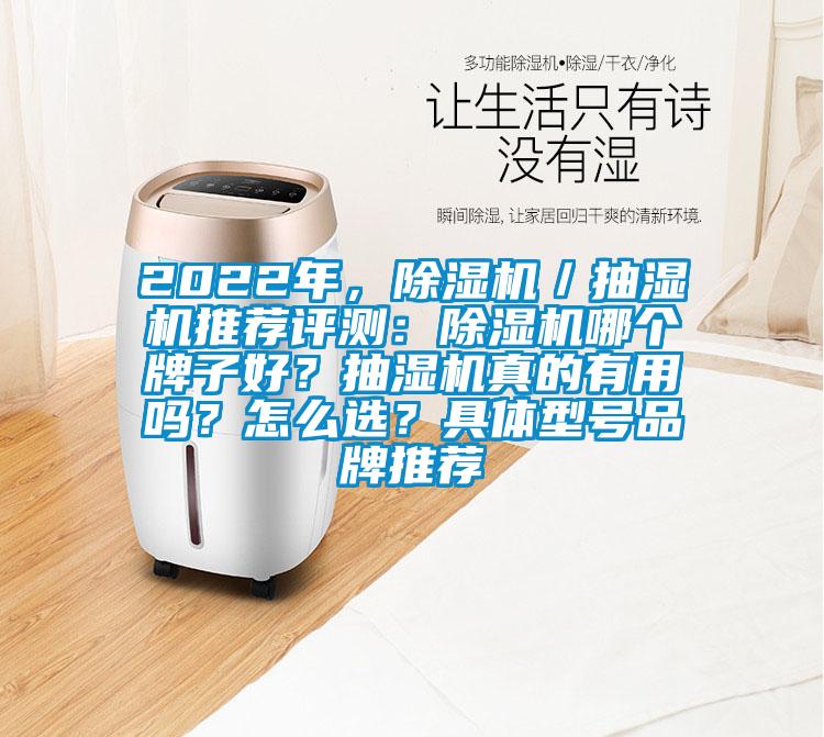 2022年，除濕機(jī)／抽濕機(jī)推薦評測：除濕機(jī)哪個(gè)牌子好？抽濕機(jī)真的有用嗎？怎么選？具體型號品牌推薦