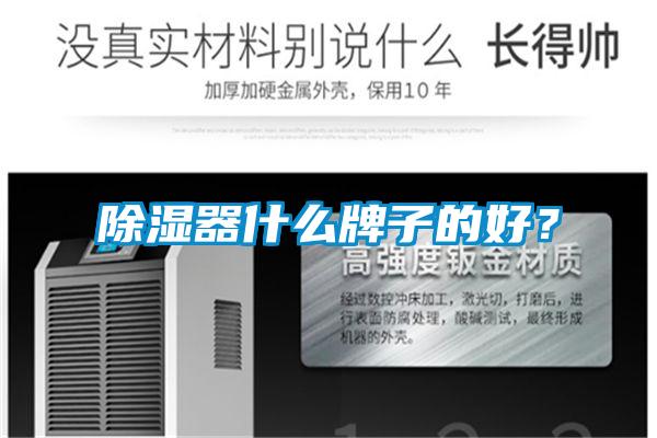 除濕器什么牌子的好？