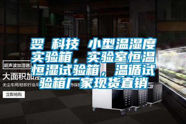 翌昇科技 小型溫濕度實驗箱，實驗室恒溫恒濕試驗箱，溫循試驗箱廠家現(xiàn)貨直銷