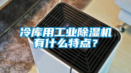 冷庫用工業(yè)除濕機(jī)有什么特點？