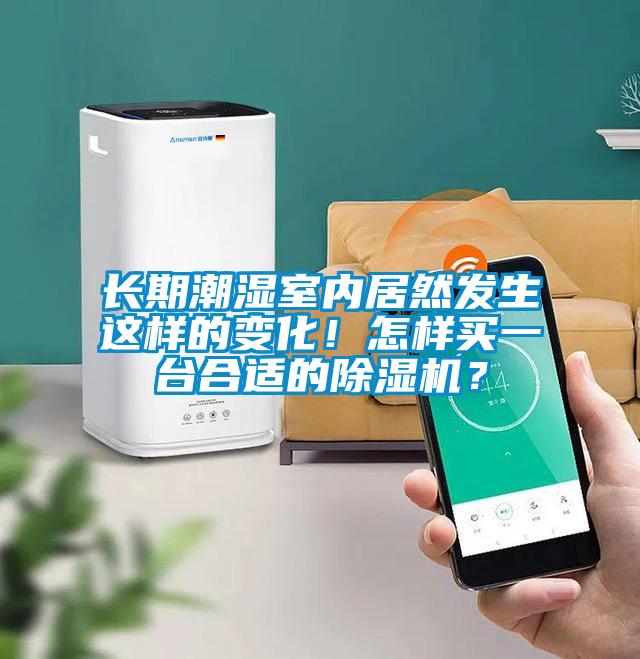 長期潮濕室內(nèi)居然發(fā)生這樣的變化！怎樣買一臺合適的除濕機？