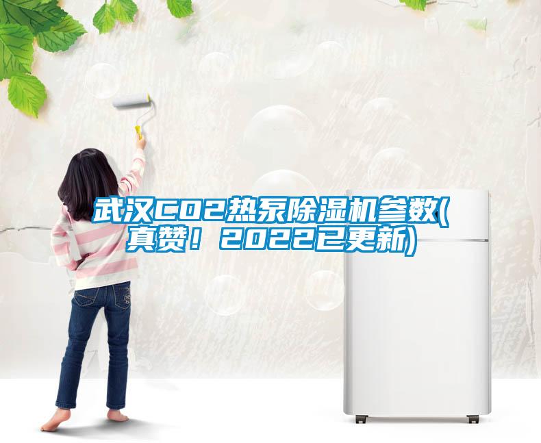 武漢CO2熱泵除濕機(jī)參數(shù)(真贊！2022已更新)