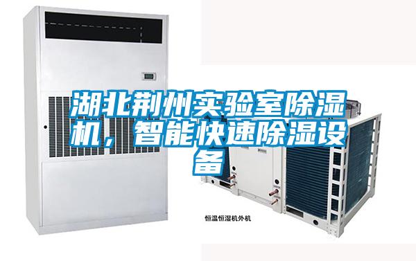 湖北荊州實(shí)驗(yàn)室除濕機(jī)，智能快速除濕設(shè)備