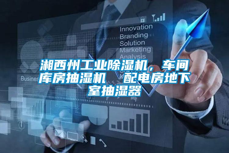 湘西州工業(yè)除濕機(jī)，車間庫房抽濕機(jī)  配電房地下室抽濕器