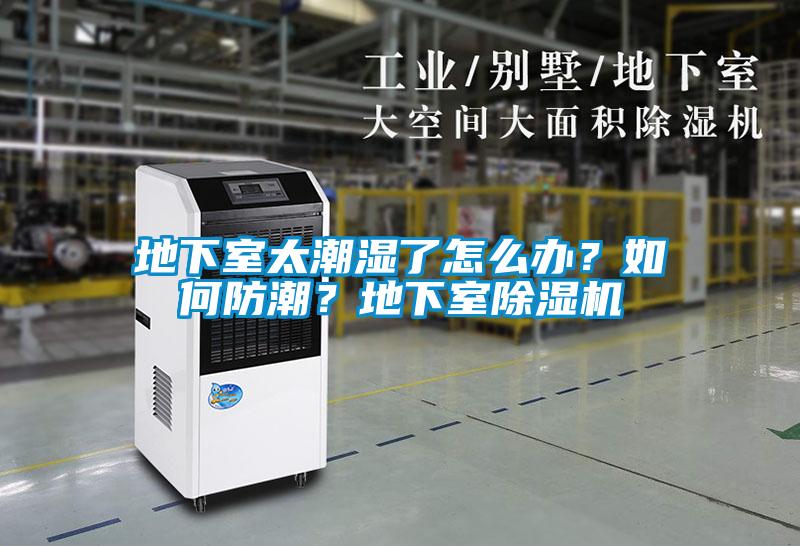 地下室太潮濕了怎么辦？如何防潮？地下室除濕機(jī)