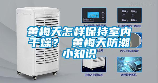 黃梅天怎樣保持室內(nèi)干燥？ 黃梅天防潮小知識(shí)