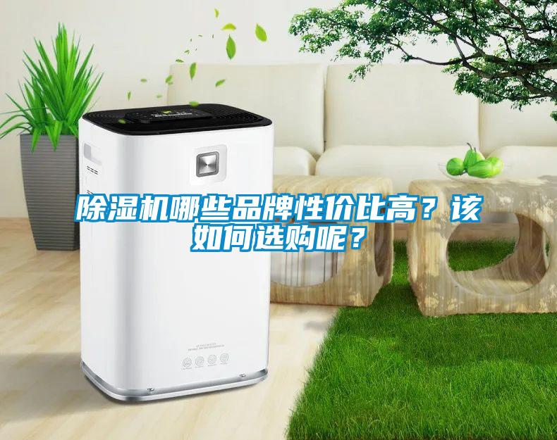除濕機哪些品牌性價比高？該如何選購呢？