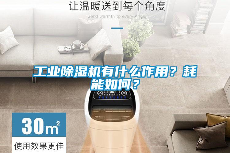 工業(yè)除濕機(jī)有什么作用？耗能如何？