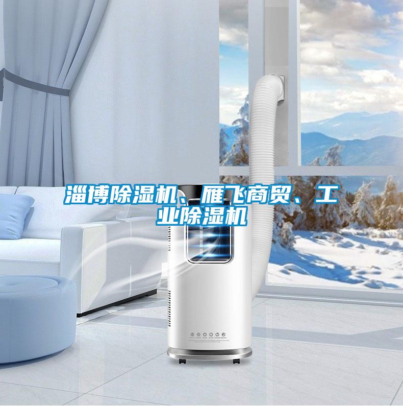 淄博除濕機、雁飛商貿(mào)、工業(yè)除濕機