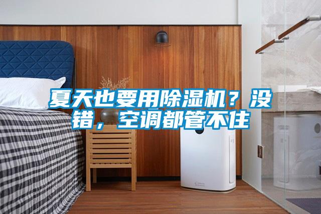 夏天也要用除濕機？沒錯，空調都管不住