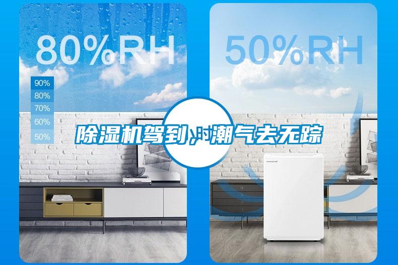 除濕機駕到，潮氣去無蹤