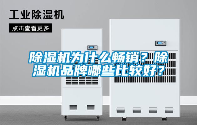 除濕機為什么暢銷？除濕機品牌哪些比較好？
