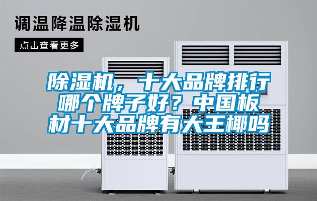 除濕機(jī)，十大品牌排行哪個(gè)牌子好？中國板材十大品牌有大王椰嗎