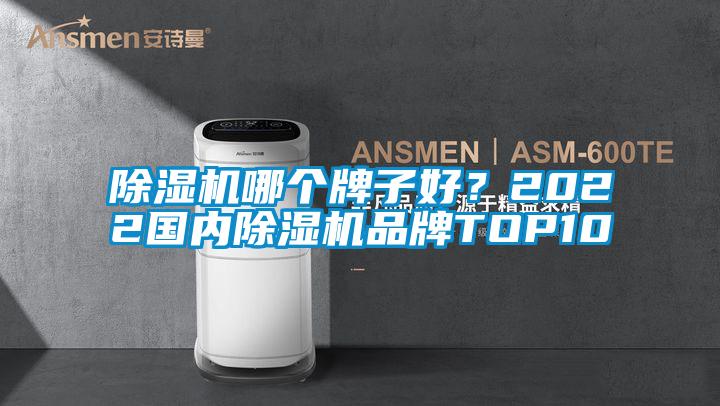 除濕機哪個牌子好？2022國內除濕機品牌TOP10