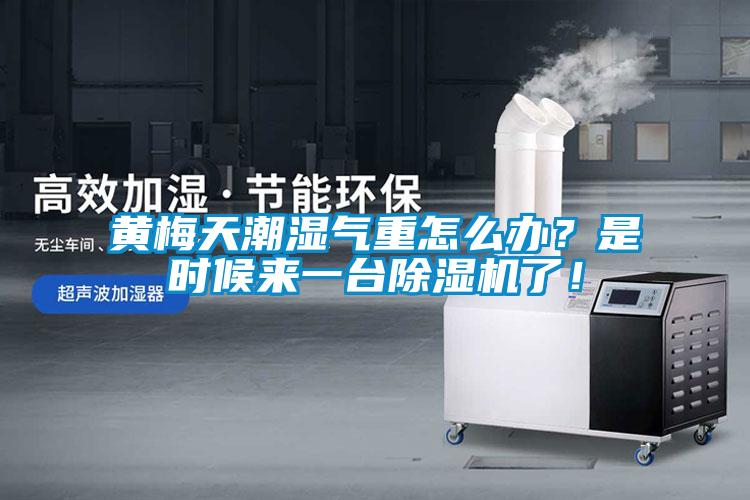 黃梅天潮濕氣重怎么辦？是時(shí)候來一臺除濕機(jī)了！