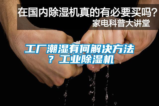 工廠潮濕有何解決方法？工業(yè)除濕機(jī)