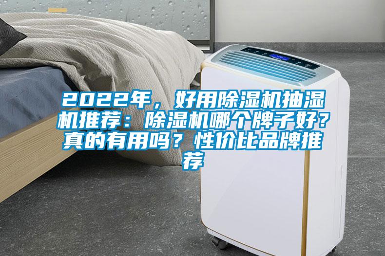 2022年，好用除濕機(jī)抽濕機(jī)推薦：除濕機(jī)哪個(gè)牌子好？真的有用嗎？性價(jià)比品牌推薦